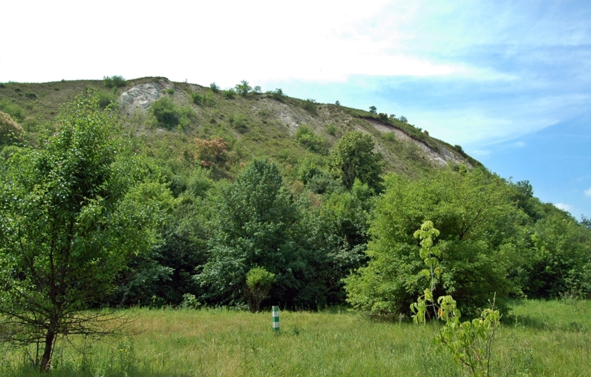 Марьина гора